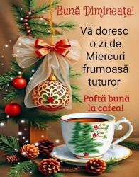 Bucuresti - Escorta Sexy - Roscata discreta atenta la cerintele tale, ofer domnilor manierati companie si masaj terapeutic la domiciliul meu.  Ofer si cer seriozitate maxima, igiena garantata.  Detalii suplimentare la telefon. 