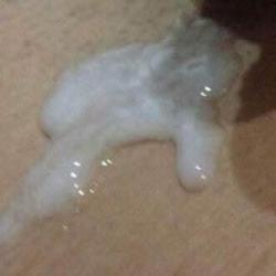 Escorte Sexy - București - Escorta senzuala iti pot oferi companie, masaj de relaxare, intr-o ambianta placuta, suntem cuplu soț si soție vă asteptam să va descoperiți cele mai ascunse fantezii si secrete suntem deschisi si naturali.  .  .  .  .  clipe linistite la domiciliul meu sau al tau.  Astept domni seriosi si manierati.  Detalii la telefon