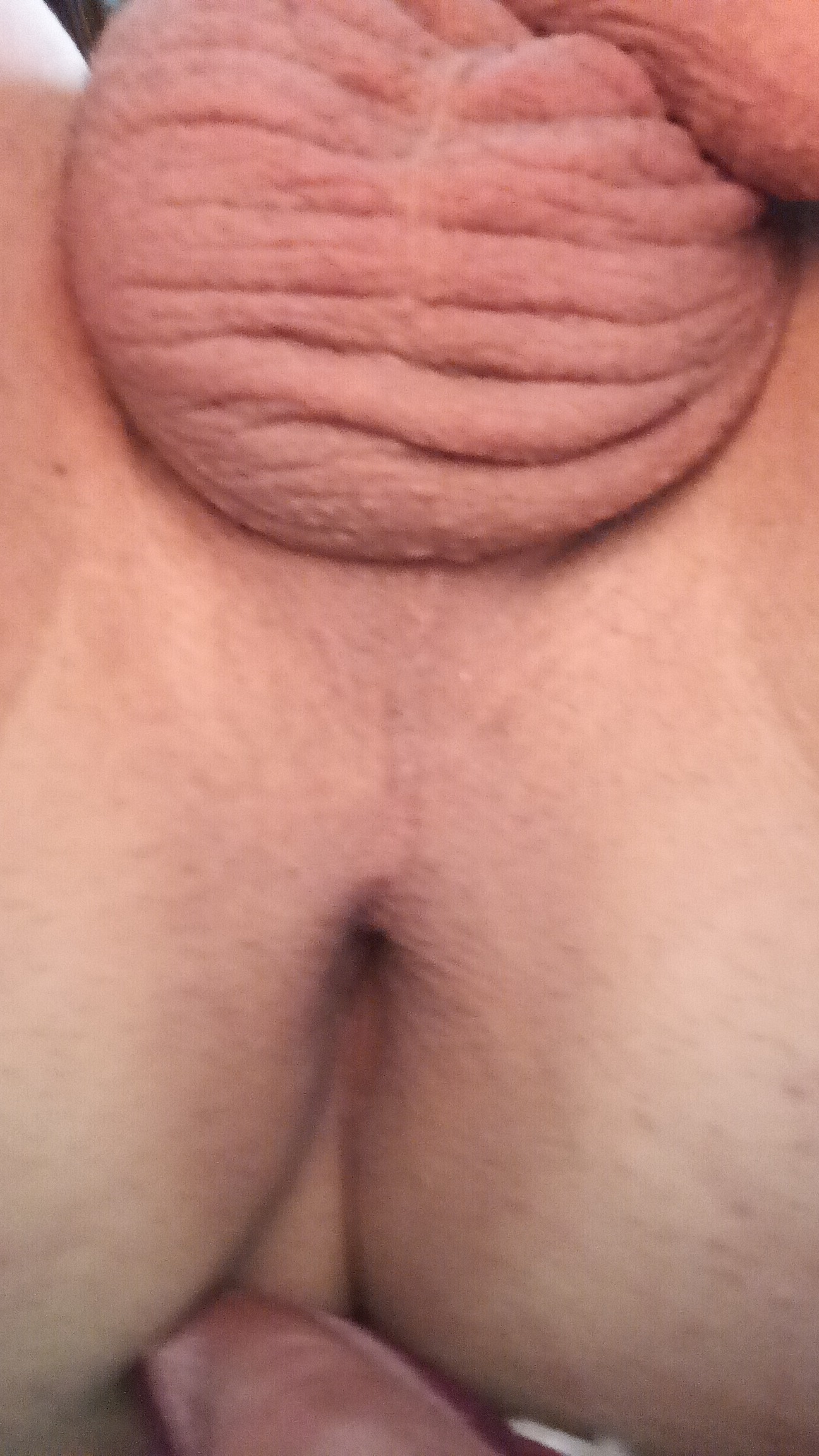 Bucuresti - Escorta Sexy - Escorta senzuala iti pot oferi companie, masaj de relaxare, intr-o ambianta placuta, clipe linistite la domiciliul meu sau al tau.  Astept domni seriosi si manierati.  Detalii la telefon