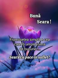 Escorta Sex - Escorta matura  te astept la mine domn serios sa-ti ofer cele mai bune servicii de companie, Daca esti un domn caruia ii place atmosfera atunci suna-ma, nu iti va parea rau.  Detalii la telefon.  - Telefon: 0758133861 