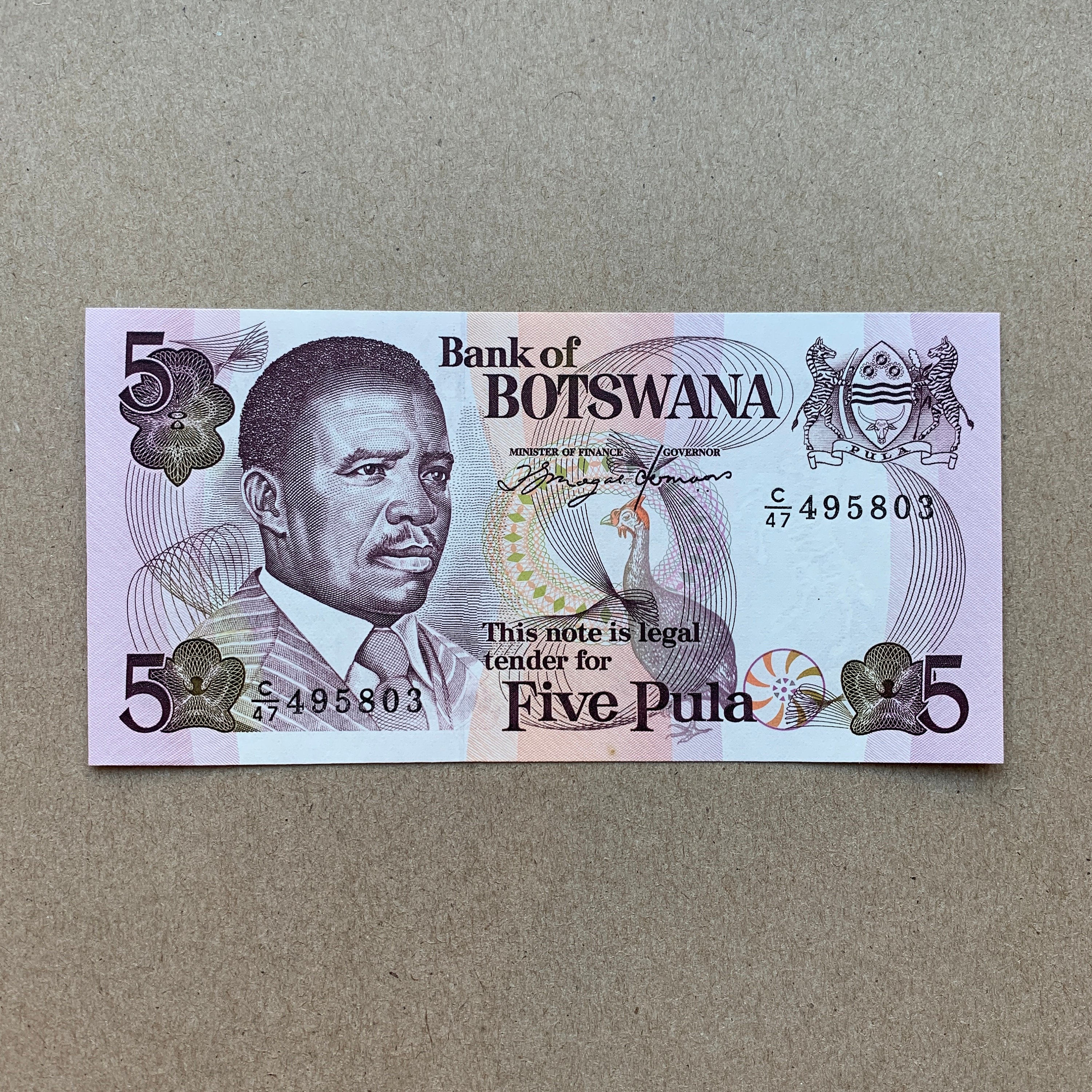 Escorta Sex - Tnar caut cuplu sau doamne dotat peste medie pentru doamne si cupluri contra cost astept sa vb pe watap - Telefon: 0793075416 