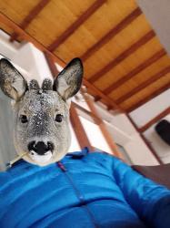 Tàrgoviste Bucuresti - Escorta Sexy - Tnar pentru doamne si cupluri masaj relaxare dotat peste medie pentru doamne si cupluri curat discretie igiena masaj relaxare sunt un tnar singur pentru doamne si cupluri curat discretie igiena detali watap sau telefon