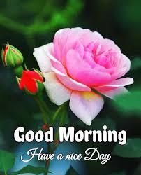 Escorte Sexy - Galați - Pt o relaxare contactează mă folosesc și WhatsApp poza reală Galați ofer companie domnilor manierați higienă discreție maximă disponibila in Galați program de zi pt mai multe detalii contactează mă.  Doar tu și eu particular.  100% reală . 