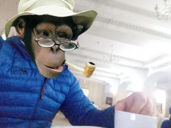 Escorte Sexy - Tàrgoviste Bucuresti - Tnar dotat peste medie pentru doamne si cupluri masaj relaxare sunt un tnar singur pentru doamne si cupluri curat discretie igiena dotat peste medie detali watap sau telefon