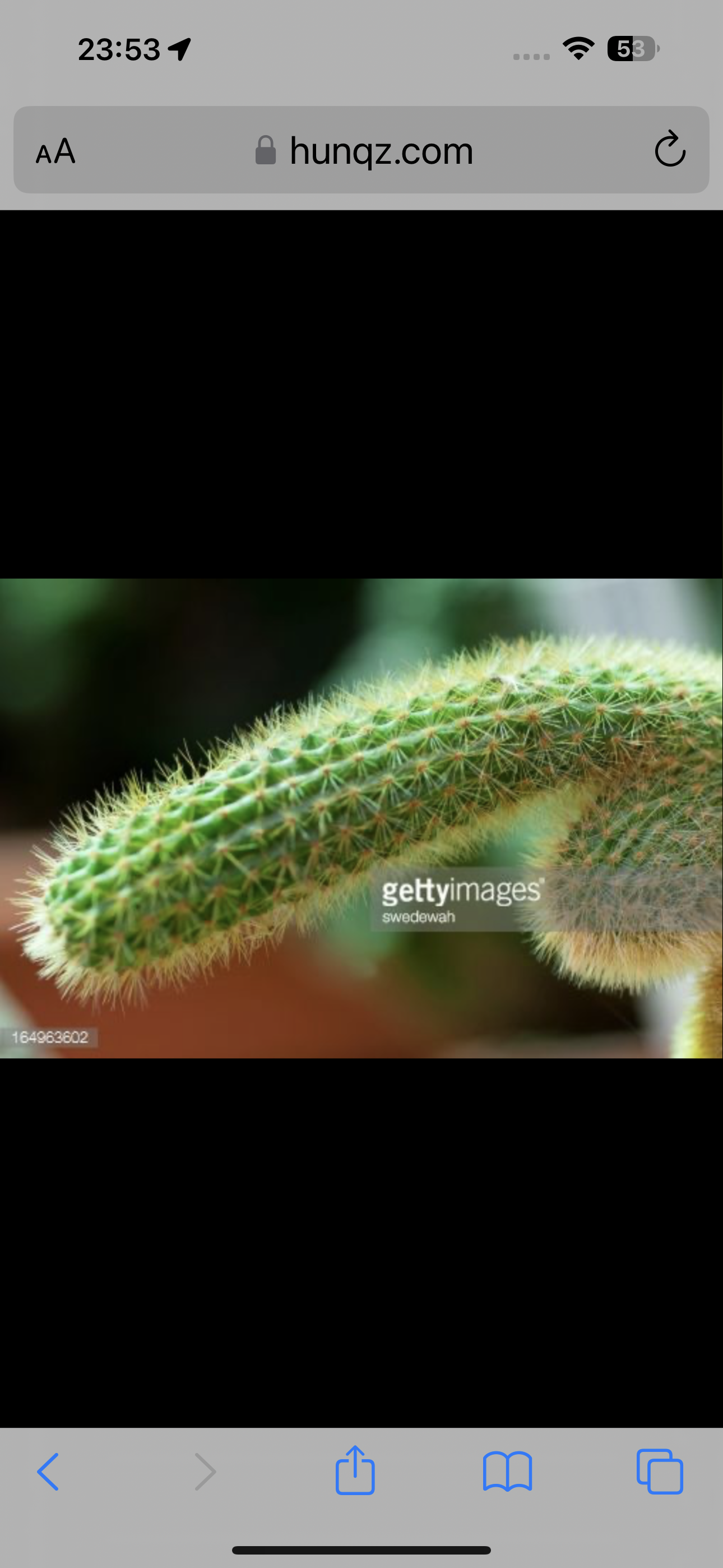 Escorte Sexy - Bucuresti - Masaj de relaxare erotic si multe alte fantezii, trebuie doar sa fi decis ce vrei! Nu raspund la numere private ! Nu trimit poze xxx! Cei ce au pofta de caterinca vor fi blocati! Mai multe detalii va astept la telefon sau whatsApp! Multumesc