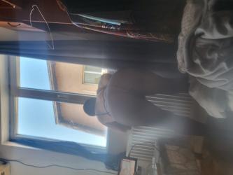 Bucuresti - Escorta Sexy - Escorta senzuala iti pot oferi companie, masaj de relaxare, intr-o ambianta placuta, clipe linistite la domiciliul meu sau al tau.  Astept domni seriosi si manierati.  Detalii la telefon