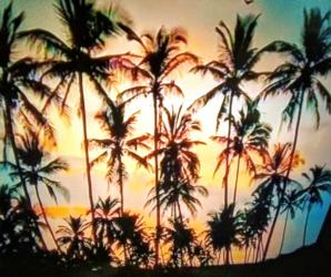 Escorte Sexy - Galați - Pt mai multe detalii contactează mă.   Servicii, preț, locatie.  Galați.  Tu și eu.  Particular.  100% Reală.   Escorta independenta.  Program de zi.  Pt puține zile.   Mesaj only WhatsApp. 