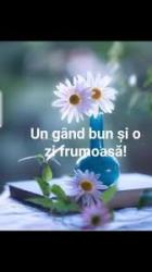 Escorte Sexy - Galați - Escorta senzuala iti pot oferi companie, intr-o ambianta placuta, clipe linistite la domiciliul meu .   Astept domni seriosi si manierati.  Detalii la telefon / Whatsapp